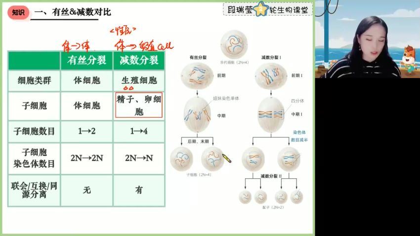 2024高三生物段瑞莹二轮寒假班