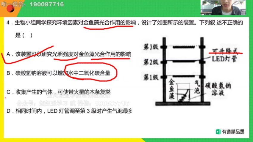 有道【完结】有道孙佳佳老师生物（中考磨砺班）