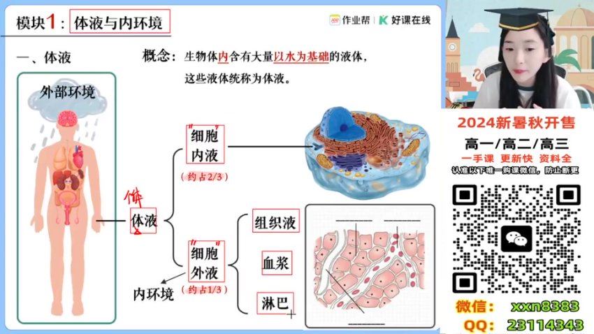 2025高二作业帮生物杨雪【尖端班】秋季班