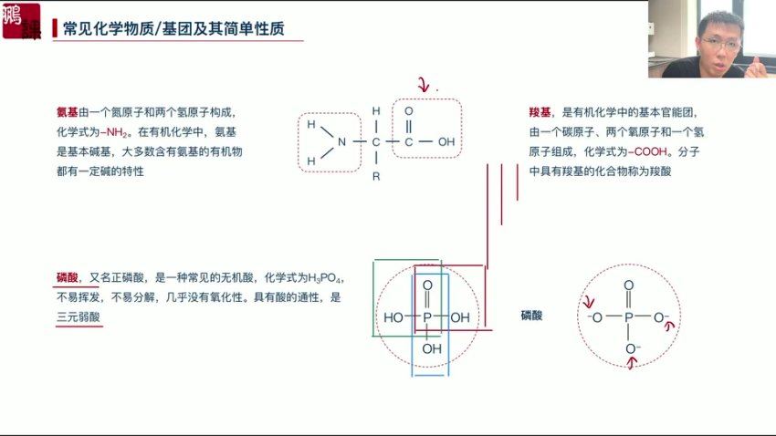 2025高三生物张鹏一轮暑假班