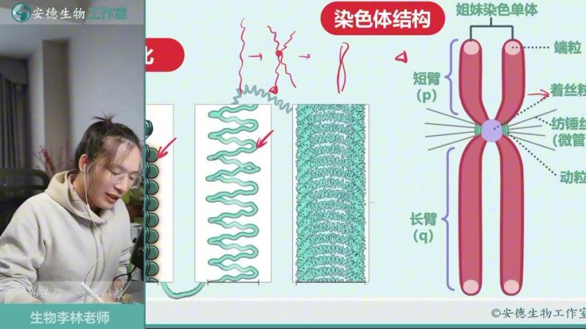 2025高一开明致学生物李林下学期