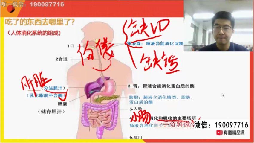 有道【完结】有道孙佳佳生物五大模块全