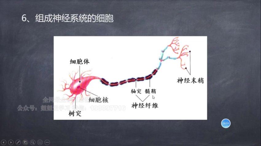 2022秋高中期中提升课