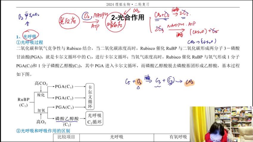 2024高三生物周芳煜【周芳煜生物】二轮寒春