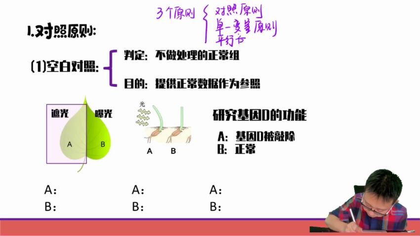 2024高二生物陈旭晨上学期